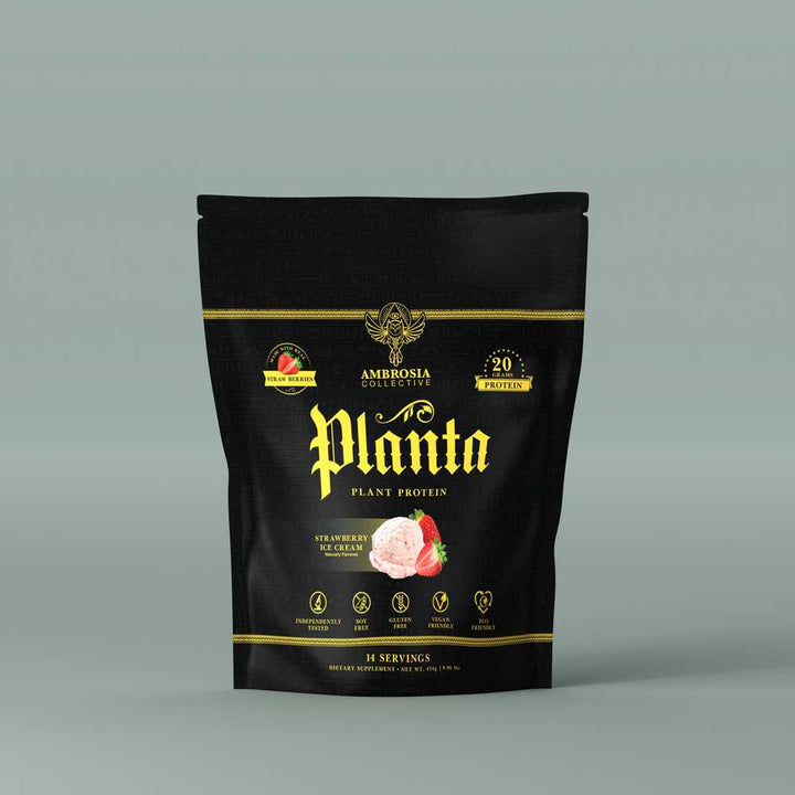 Planta® - Vegan Plant Protein Powder 14 Servings