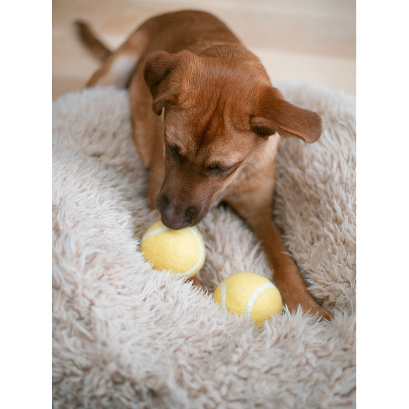 WOOL TENNIS BALL