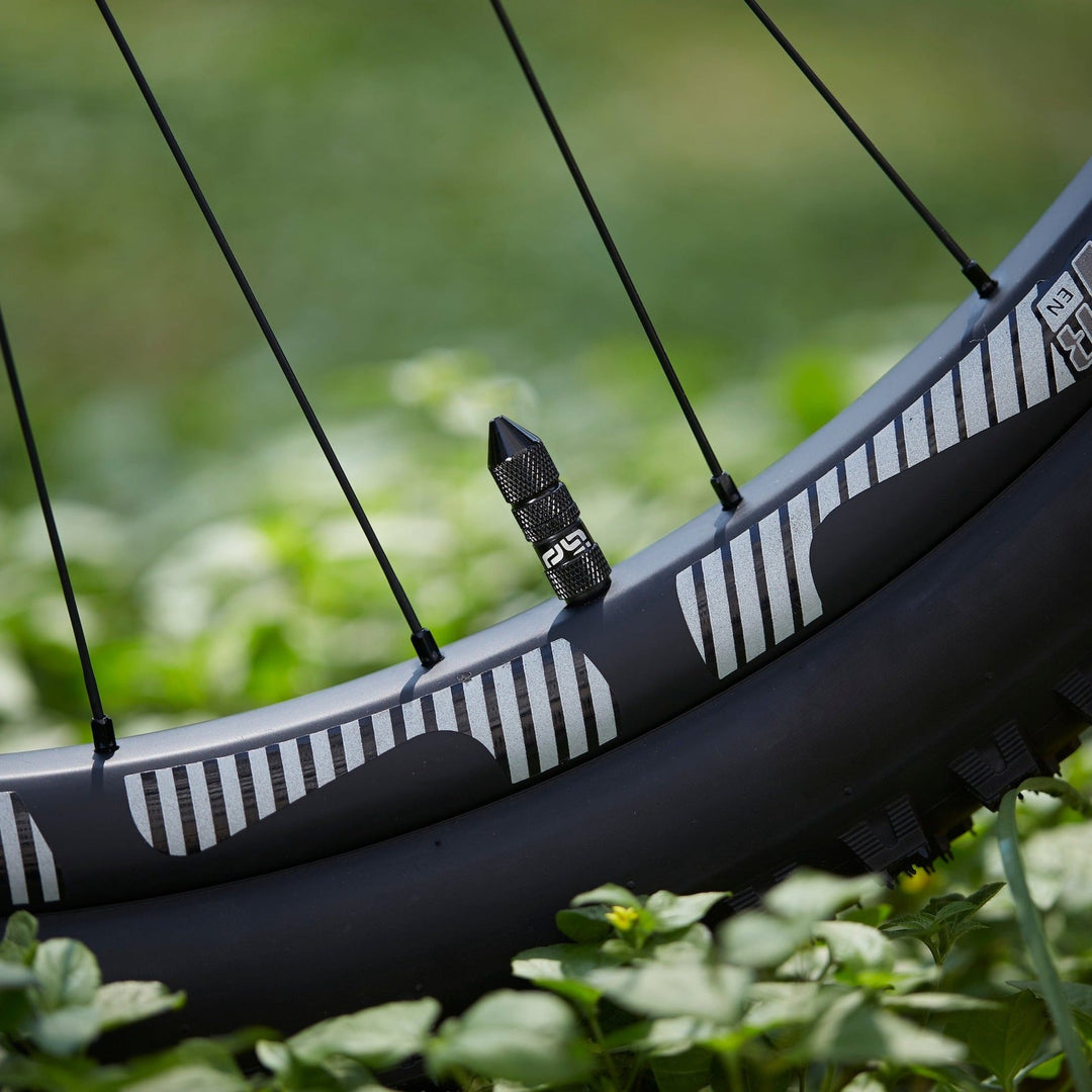 e*thirteen Quick Fill Schrader Tubeless Valves