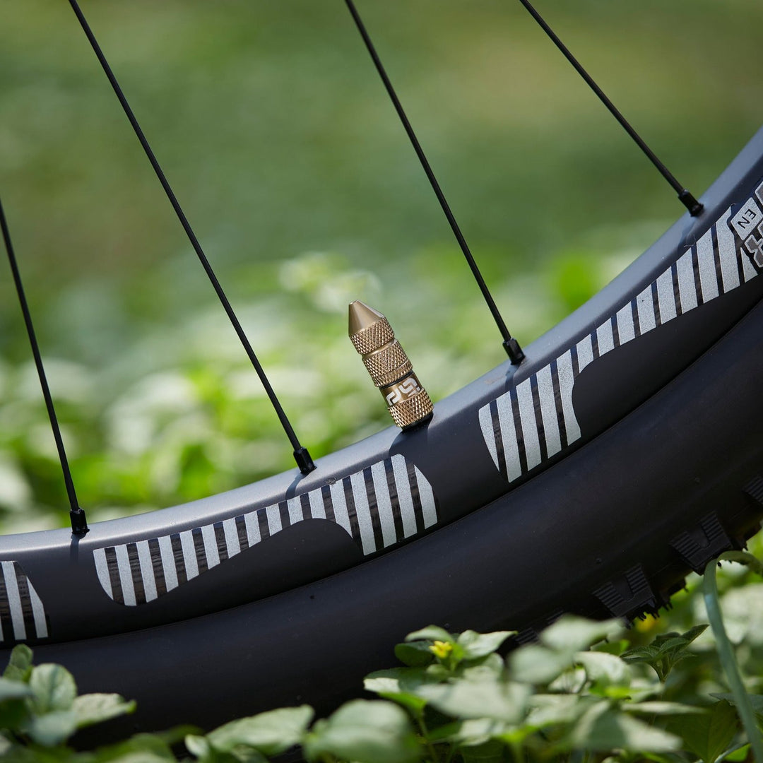 e*thirteen Quick Fill Schrader Tubeless Valves