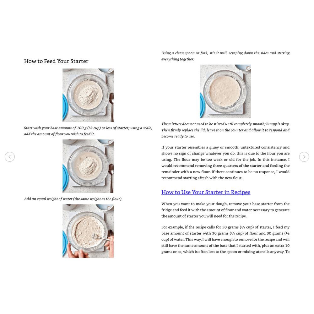The Sourdough Whisperer Spiral Bound