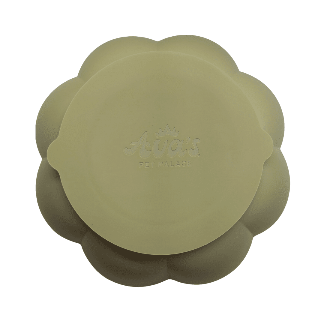 Rose SlowMo slow feeder