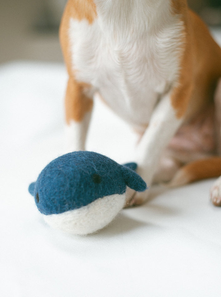 Wool Dog Toy for Energetic Playtime Fun