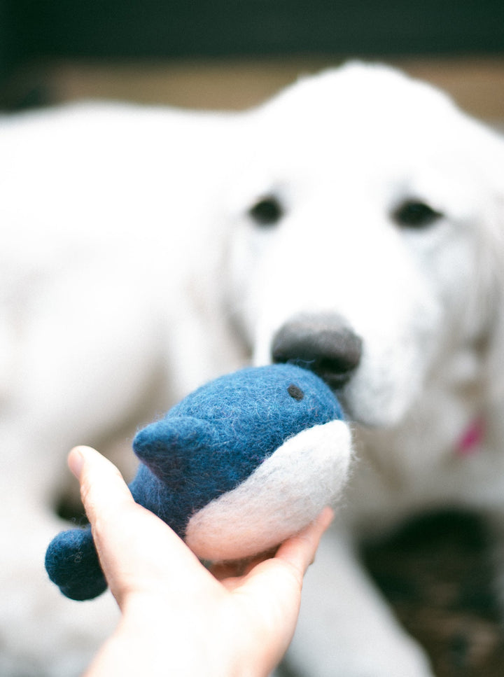 Wool Dog Toy for Energetic Playtime Fun