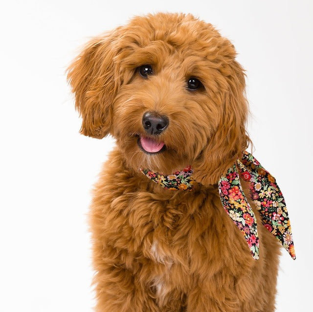CLASSIC NECKTIE