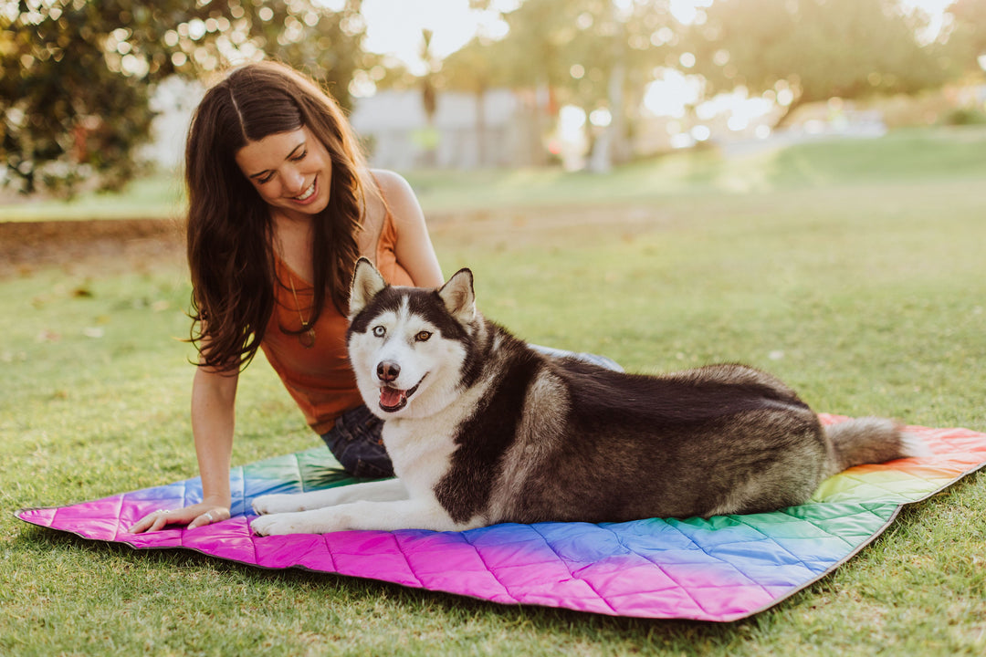 Picnic Time Vista Outdoor Picnic Blanket & Tote