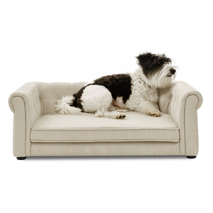 Modern Elegant Rectangle Elevated Pet Bed