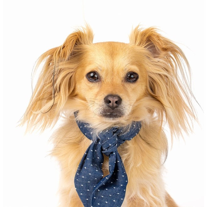 CLASSIC NECKTIE