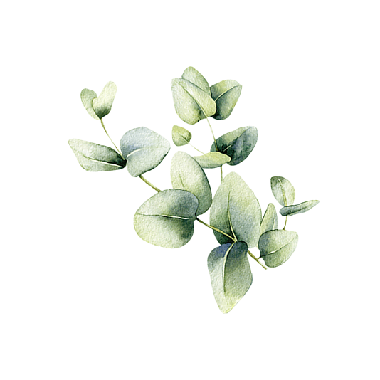 Rustic Strength Eucalyptus Essential Oil