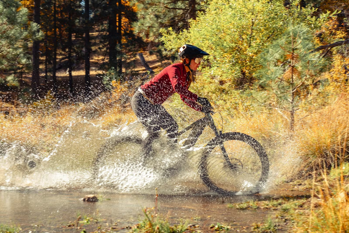 Aventon RAMBLAS eMTB