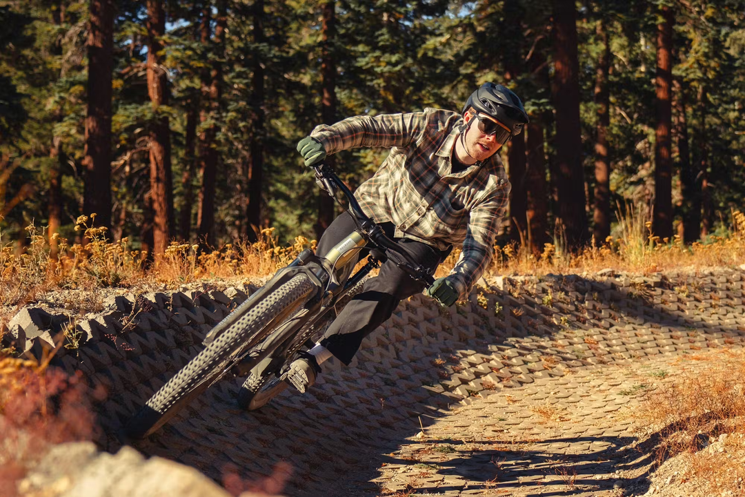 Aventon RAMBLAS eMTB