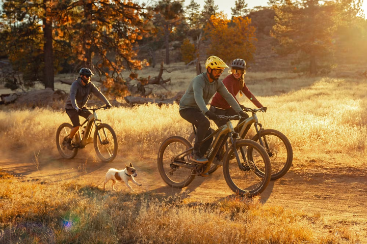 Aventon RAMBLAS eMTB