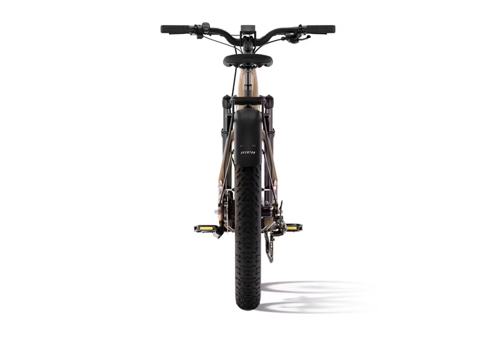 Aventon Aventure.3 E-Bike Step-Through