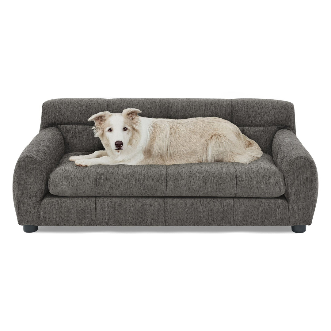 Modern Dark Gray Pet Sofa with Backrest and Armrests