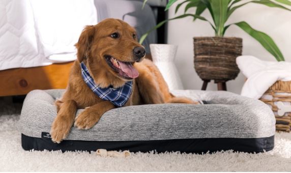 BedGear Performance Pet Bed for Large Dogs