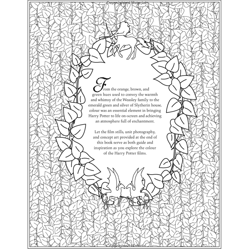 Harry Potter Coloring Book Spiral Bound