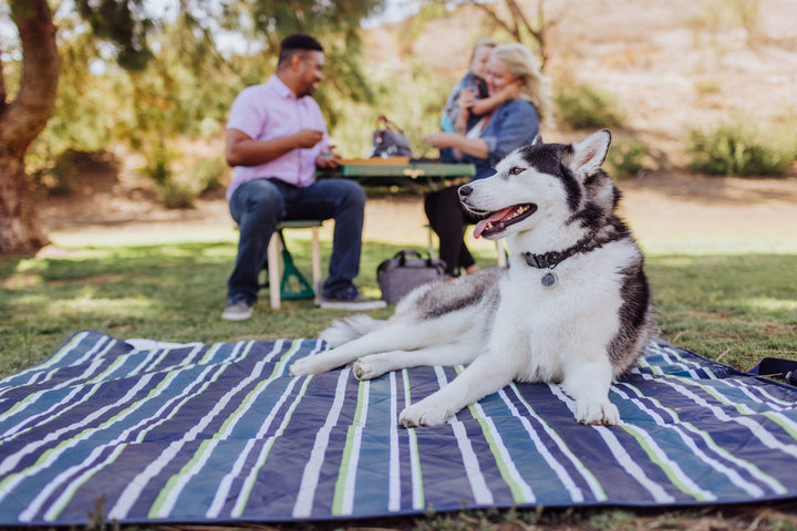 Picnic Time Vista Outdoor Picnic Blanket & Tote