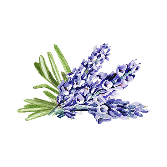 Rustic Strength Lavender & Rosemary Essential Oil Blend