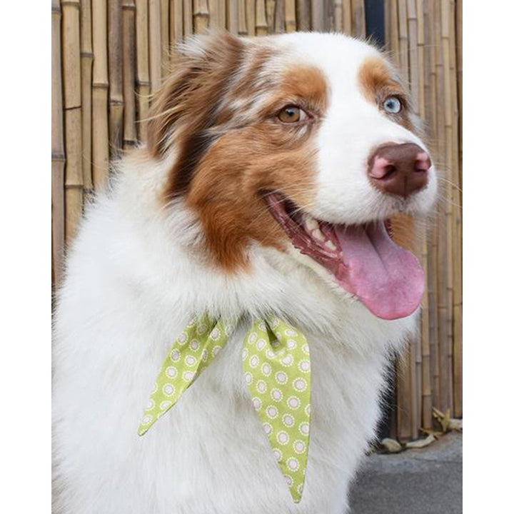 CLASSIC NECKTIE