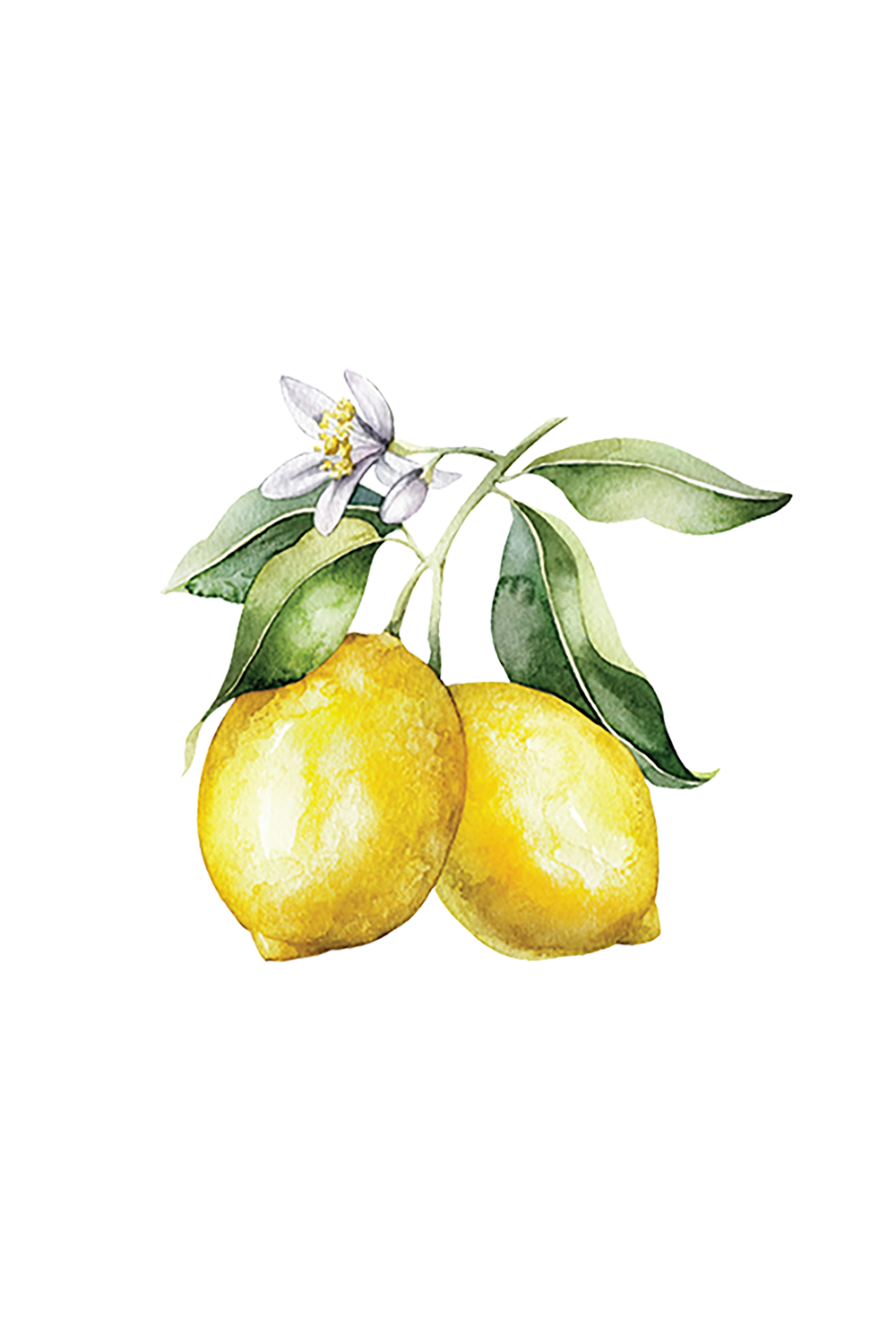 Rustic Strength Lemon Essential Oil