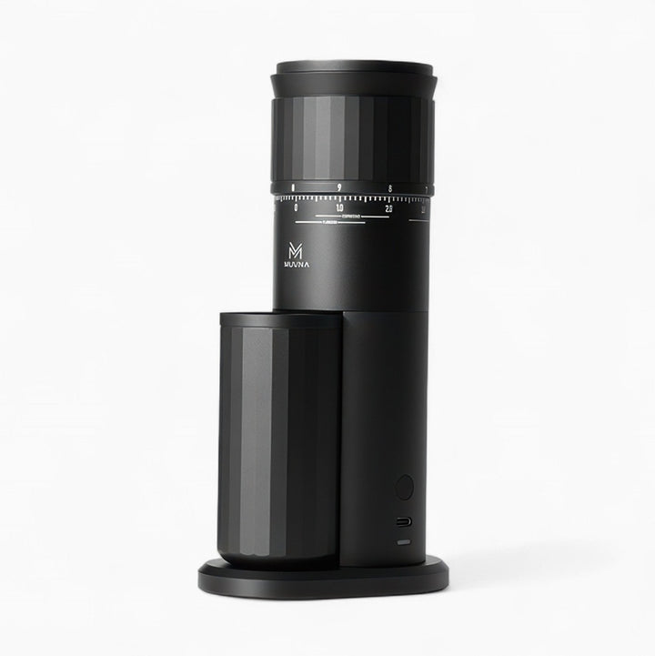 Precision Home Coffee Grinder