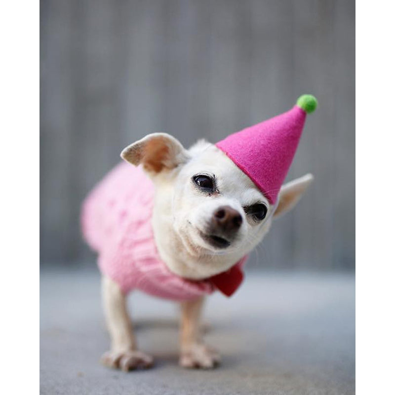 PAWTY HAT