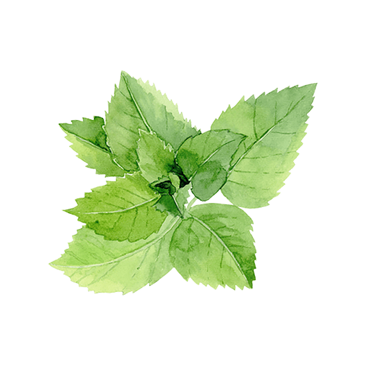 Rustic Strength Peppermint Essential Oil
