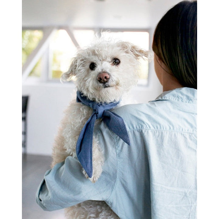 CLASSIC NECKTIE