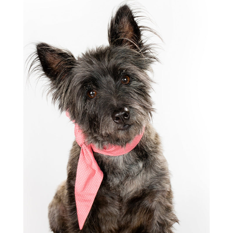 CLASSIC NECKTIE