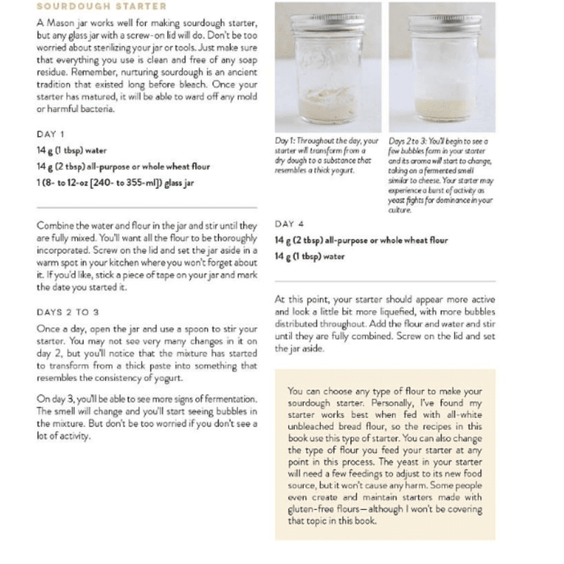 Sourdough Every Day: Your Guide to Using Active and Discard Starter for Artisan Bread, Rolls, Pasta, Sweets and More Spiral Bound