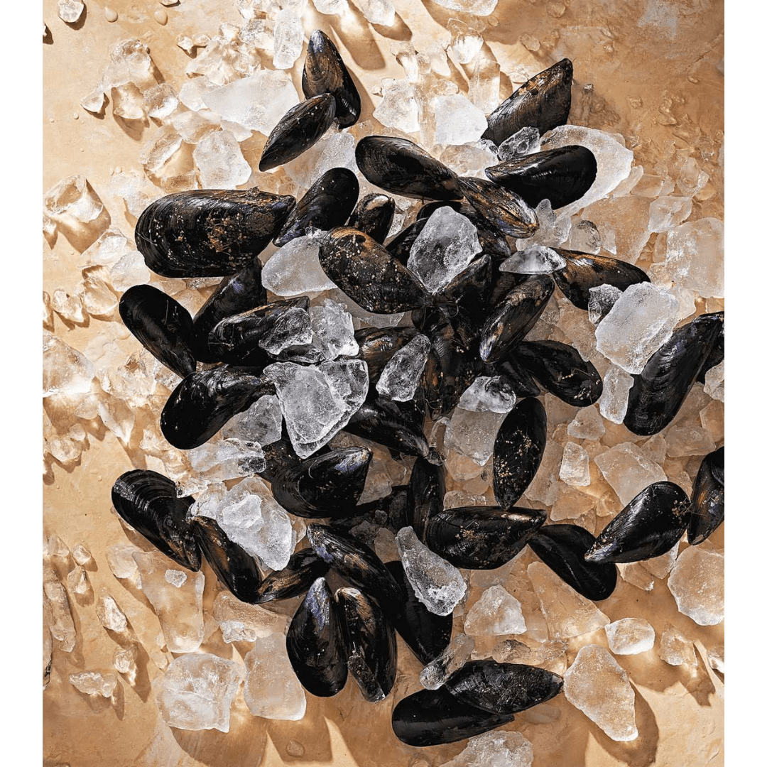 Tasting History: Explore the Past through 4,000 Years of Recipes Spiral Bound