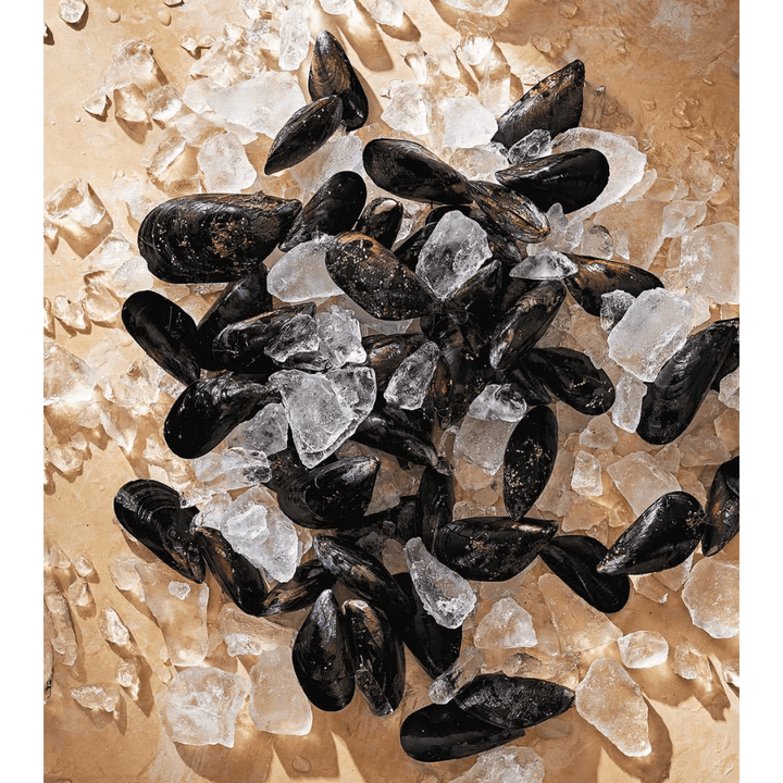 Tasting History: Explore the Past through 4,000 Years of Recipes Spiral Bound