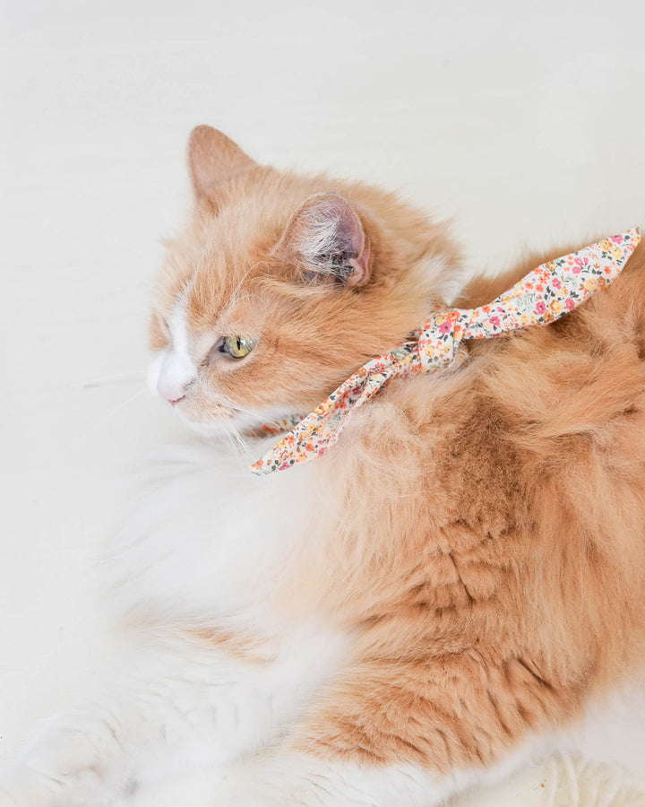 Adventure Necktie for Dogs and Pets - Unique Design